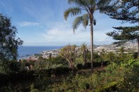 Tanzurlaub Madeira